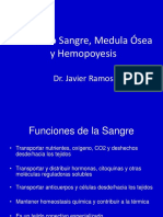 Seminario 06 Sangre. Médula Osea y Hemocitopoyesis Javier 2016