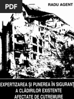 Expertizarea Si Punerea in Siguranta a Cladirilor Existente
