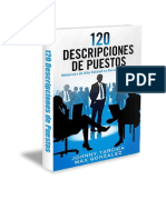 120descripciones DE PUESTOS.pdf