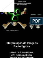 Curso - Interpretação de Imagens I PDF