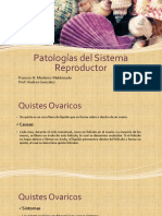 patologias del sistema reproductor