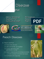 Peach Diseases