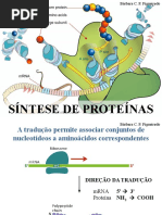 Síntese de proteinas