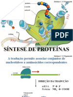 Síntese de Proteinas