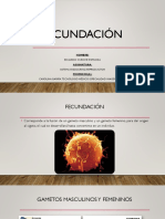 FECUNDACION