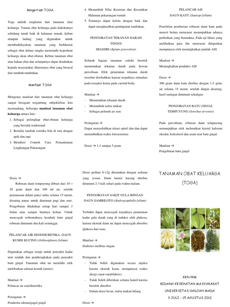 148948124 Leaflet Togadocx