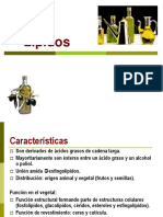 6.Lipidos.pdf