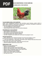 Projek Ayam Kampung  PDF