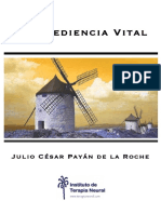 Desobediencia Vital - Julio Payan Gomez