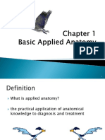 2) Basic Applied Anatomy