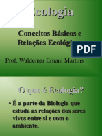 Ecologia-Relacoes Ecologicas-Ciclos