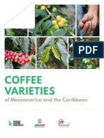 Coffee Varieties Mesoamerica Caribbean Guide