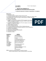 Planteamiento Teorico Practica Info II PLATAFORMA