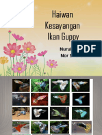 Haiwan Kesayangan Ikan Guppy