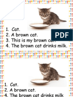 Cat. 2. A Brown Cat. 3. This Is My Brown Cat. 4. The Brown Cat Drinks Milk
