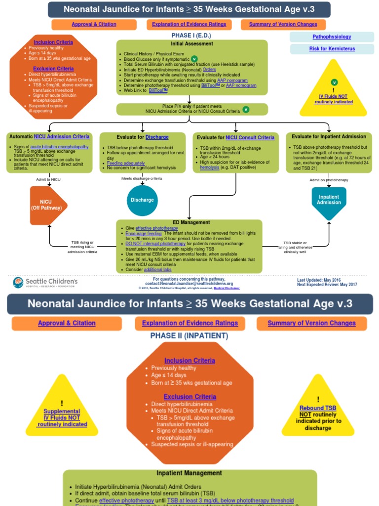 Neonatal Jaundice Pathway PDF Neonatal Intensive Care Unit Breastfeeding