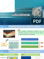 Micosis subcutáneas