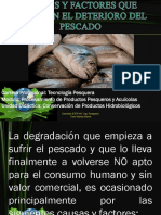 CAUSAS Y FACTORES QUE ORIGINAN EL DETERIORO DEL pescado.pptx