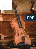 Acusticaviolin.pdf