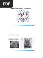 Membrana Transporte