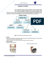 ENSAYO Nº2 Solidos Totales