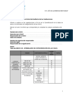 Informe Inicial de Auditoría de Las Instituciones. Resolución 885. Versión en Blanco. V2