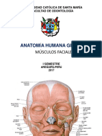 Músculos Cutáneos (De La Expresión Facial) PDF