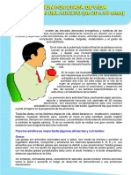 Alimentacion Adulto PDF