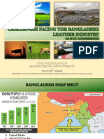 Challenges Facing The Bangladesh Leather Industry LFMEAB