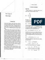 Goldbergerchp2a PDF