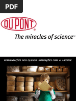 4 - Fermentação No Queijo e Em Prod. Lacteos - Mucio M. Furtado