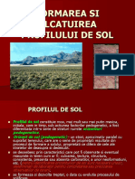 Profil de Sol