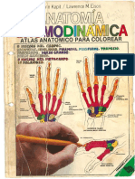 Anatomia Cromodinamica Atlas Anatomico para Colorear - Kapit, Elson PDF