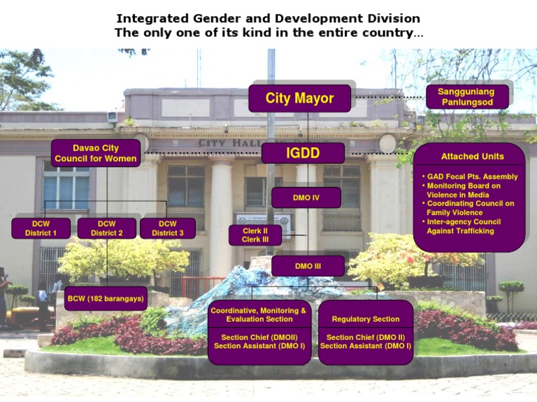 IGDD Davao City Overview | PDF