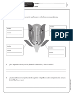 Eva Cnat 3basico PDF