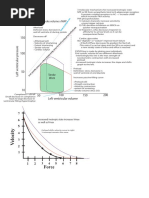 CARDIAC CYCLE AND ESPVR LINE.pdf