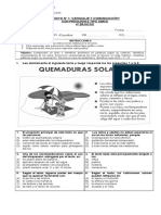 Ensayo sobre lenguaje y comunicación en 4° básicos