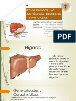 Exposicion Higado, Estomago, Pancreas y Duodeno