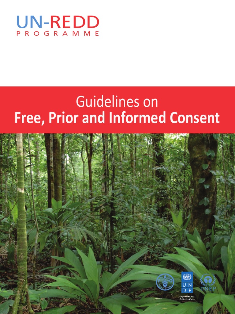 Un Redd05 | PDF | Reducing Emissions From Deforestation And Forest ...