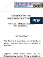 Overview of The Integumentary System: For Year 1 Medicine Students By: Zelalem. A