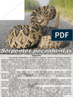 Treinamento Palestra Serpentes.