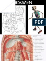 clase 8 abdomen.pptx