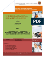 Auditoría de Patrimonio Monografia