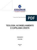 Teologia, Aconselhamento e Capelania Cristã PDF