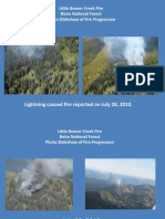 Lightning Caused Fire Reported On July 28, 2010