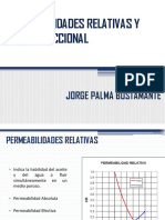 5 Des Relativas y Flujo Fraccional PDF