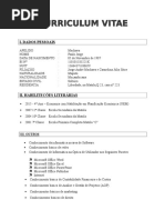 Modelo Currículo 01