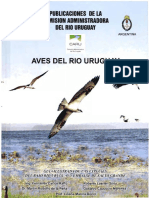 Aves Del Río Uruguay