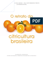 o_retrato_da_citricultura_brasileira_baixa.pdf
