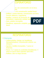 Tema 2 Respiracion